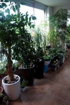 Denis'S House Hotel Сеул Екстериор снимка